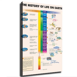 May include: A vertical educational wall chart titled THE HISTORY OF LIFE ON EARTH. It features a timeline of geological eons, eras, and periods, alongside illustrations of continental drift events and various life forms from ancient to modern times.