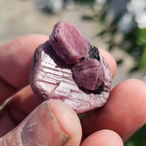 May include: A raw, unpolished ruby crystal specimen featuring a deep magenta-red hue with visible striations and natural crystalline texture. The stone displays a layered formation with darker black mineral inclusions embedded within the surface.