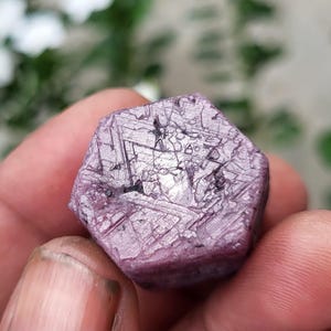 May include: A hexagonal raw gemstone with a dusty pink and lavender hue. The surface features a distinct geometric pattern of intersecting lines and small dark inclusions, creating a textured, crystalline appearance with a matte finish.