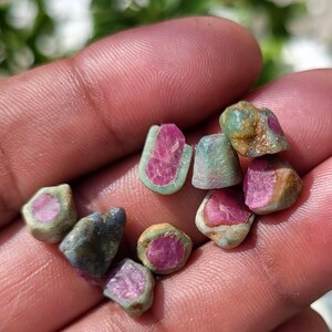 Op de afbeelding: Een verzameling kleine, ruwe, ongeslepen edelstenen met levendige roze centra ingebed in een ruwe, lichtgroene en grijze mineraalmatrix. Deze natuurlijke, ongepolijste stenen vertonen onregelmatige vormen en gevarieerde texturen, wat een duidelijk contrast laat zien tussen de heldere magentakleurige kernen en de aardse, gedempte buitenlagen van de ruwe mineraalspecimens.