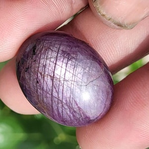 May include: An oval-shaped cabochon gemstone with a deep purple and reddish hue, featuring a distinct six-rayed star effect known as asterism across its polished, translucent surface, with visible internal inclusions and fine lines.