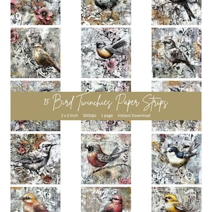 Op de afbeelding: 15 digitale papieren stroken met kleurrijke vogels op een vintage achtergrond. Elke strook is 2x2 inch en 300dpi. Direct downloaden.