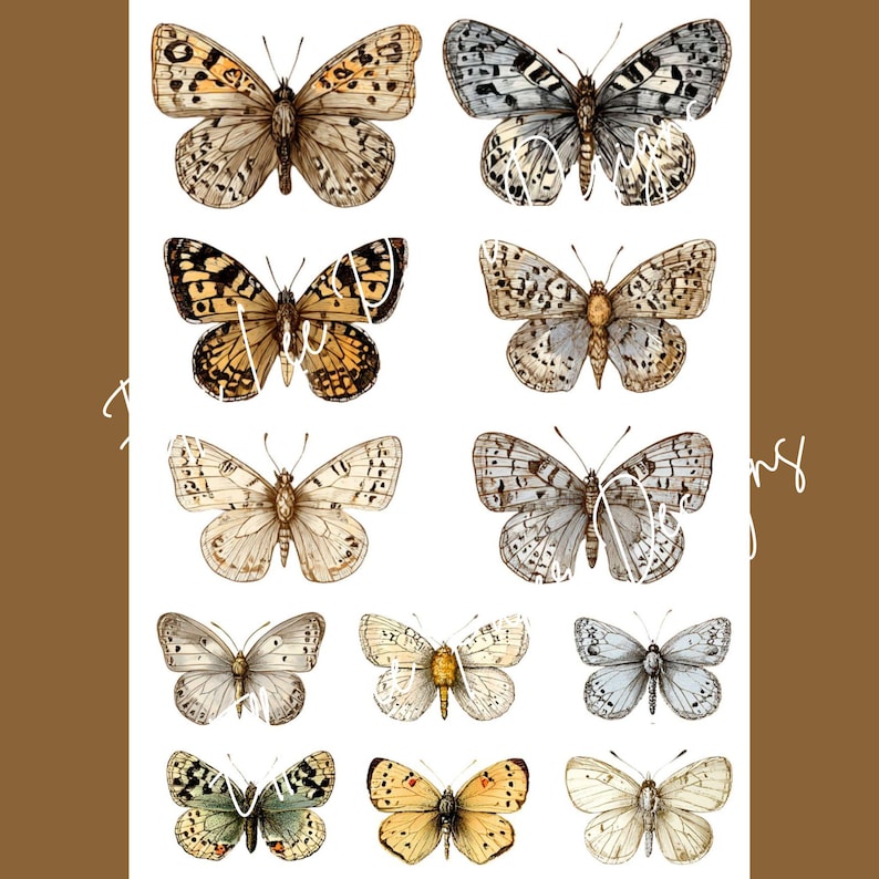 Op de afbeelding: Een verzameling aquarel vlinder illustraties in verschillende kleuren en patronen. De vlinders hebben gedetailleerde vleugelontwerpen met tinten bruin, beige, grijs en geel. De afbeelding staat op een witte achtergrond met een bruine rand.