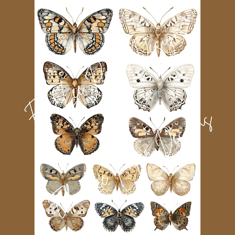 Op de afbeelding: Een verzameling aquarel illustraties van vlinders in diverse kleuren, waaronder oranje, bruin, grijs en wit. De vlinders hebben gedetailleerde vleugelpatronen en zijn geplaatst op een bruine achtergrond. De tekst "I love you" staat in cursief.