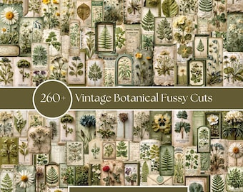 May include: A collection of vintage botanical illustrations featuring various flowers, ferns, and leaves in shades of green, white, and yellow. The text 260+ Vintage Botanical Fussy Cuts and A4 & US 8.5 x 11 inch sizes are clearly visible.