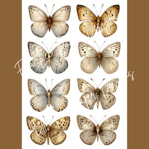 Op de afbeelding: Een vel papier met acht aquarel illustraties van vlinders in beige, bruin en wit. De vlinders hebben gedetailleerde vleugelpatronen en zijn gerangschikt in twee rijen van vier. De achtergrond is wit met een bruine rand.