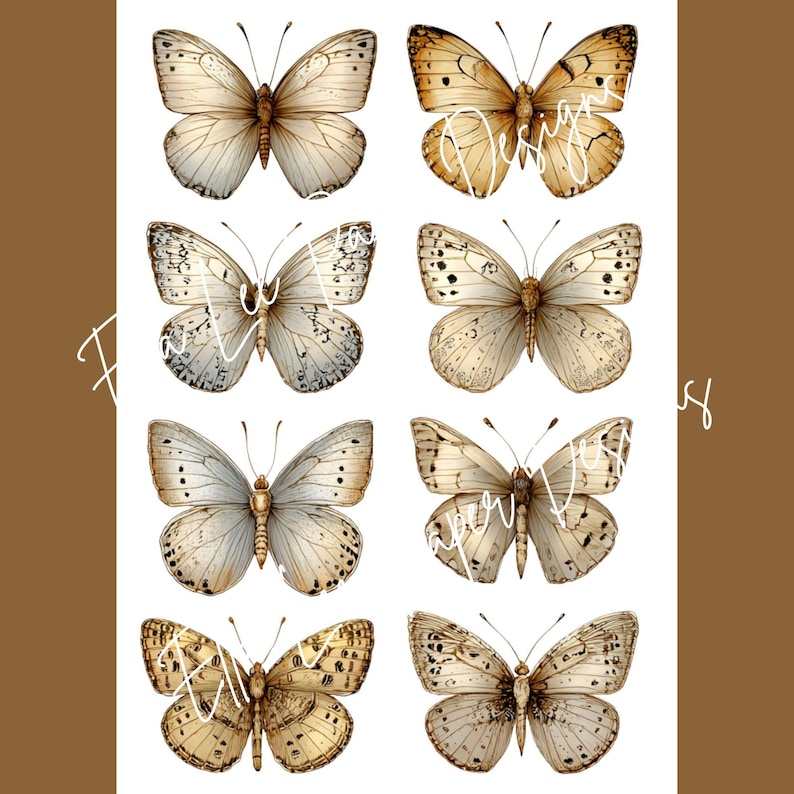 Op de afbeelding: Een vel papier met acht aquarel illustraties van vlinders in beige, bruin en wit. De vlinders hebben gedetailleerde vleugelpatronen en zijn gerangschikt in twee rijen van vier. De achtergrond is wit met een bruine rand.