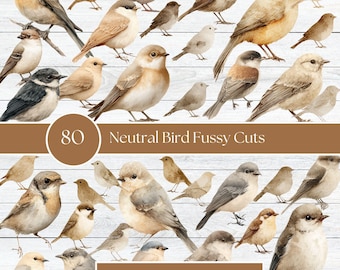 Neutrale kieskeurige vogels voor ongewenste tijdschriften | Afdrukbare vogelverschijnselen | A4 en US Letter