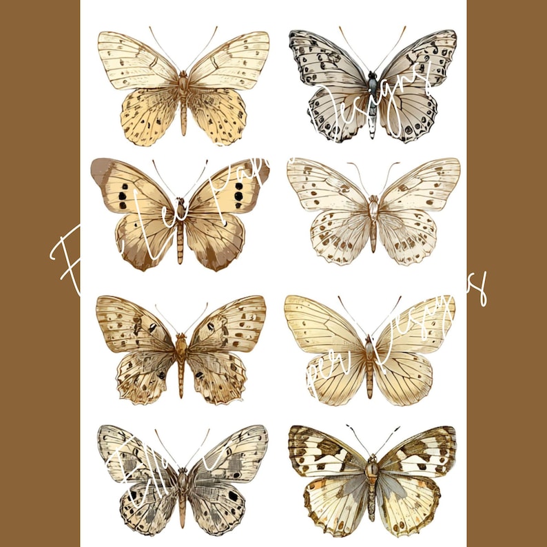 Op de afbeelding: Een vel met acht aquarel illustraties van vlinders in tinten bruin, beige en grijs. Elke vlinder heeft unieke vleugelpatronen en details. De achtergrond is wit met een bruine rand en handgeschreven tekst.