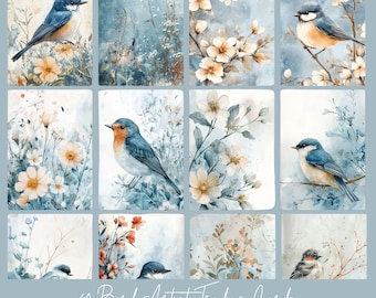 40 Bird Digital Artist Trading Cards | Instant Download | ATC Cards | Perfect for junk journal pages |2.5 x 3.5 inches
