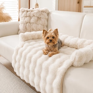 May include: A small Yorkshire Terrier dog sits on a cream-colored, plush, faux-fur pet bed with raised, padded edges. The bed features a textured, ribbed surface and is positioned on a smooth, white sofa next to a matching square faux-fur pillow.