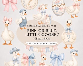 Gender Reveal Clipart Bundle, Goose PNG, Watercolor Goose Clipart, Baby Goose PNG, Boy or Girl Clipart, Baby Shower PNG, Commercial Use
