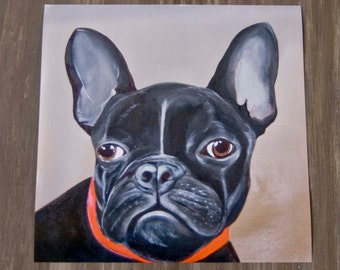 Violetta -  Bulldog/Print