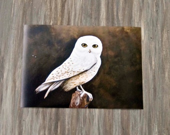 Snow Owl/Print