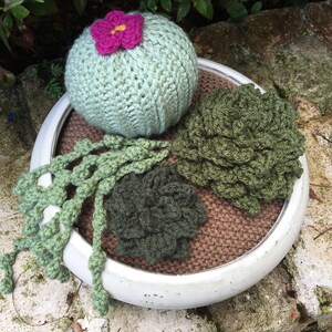 Medium Four-Piece Crochet Succulent/Cactus Garden