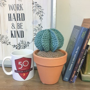 Medium Crochet Six-Lobe Cactus in Pot