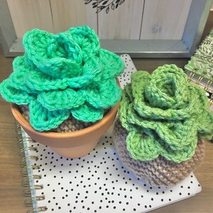 Crochet Round-Leaf Echeveria Succulent in Pot