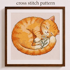 Op de afbeelding: Een ingelijst kruissteekpatroon met een opgerolde oranje cyperse kat met witte pootjes, slapend terwijl het een klein wit madeliefje met groene blaadjes vasthoudt. De tekst "cross stitch pattern" staat in bruin boven het houten frame.