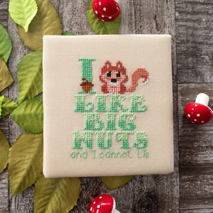 Nuts Squirrel Cross Stitch Pattern - Modern Cross Stitch Pattern - Sarcastic Cross Stitch Pattern - Digital Cross Stitch Pattern