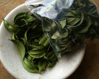 MYRTLE LEAVES air dried naturally, used for attracting love, marriage, youth, peace and  money for incense and smudge