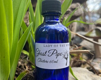 Ghost Pipe Tincture, Monotropa Uniflora, Indian Pipe **limted quality**