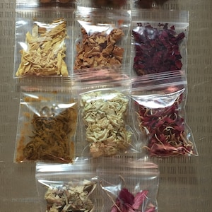 Wicca en apotheker Kruiden, bloemen, specerijen, zaden, grassen, bomen: zakjes van 2 x 3 inch, de meeste door mij geoogst en gedroogd