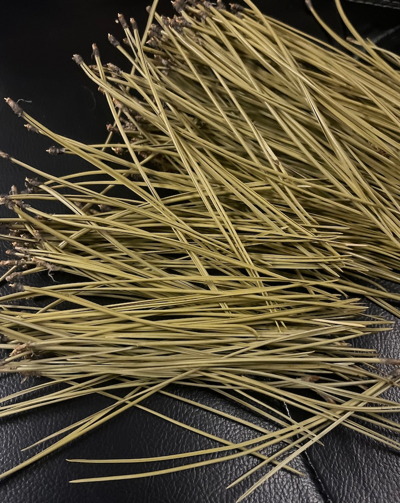 Puede incluir: Primer plano de un mont&oacute;n de agujas de pino largas, delgadas y de color verde claro.