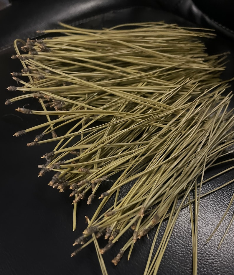 Puede incluir: Un mont&oacute;n de agujas de pino largas, delgadas y de color marr&oacute;n claro sobre una superficie negra.