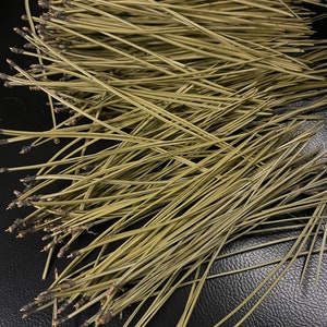 Puede incluir: Un mont&oacute;n de agujas de pino largas, delgadas y de color marr&oacute;n claro sobre una superficie negra.