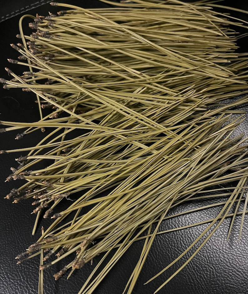 Puede incluir: Un mont&oacute;n de agujas de pino largas, delgadas y de color marr&oacute;n claro sobre una superficie negra.