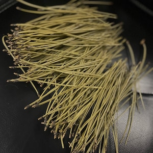 Puede incluir: Un mont&oacute;n de agujas de pino largas, delgadas y de color verde claro sobre una superficie negra.