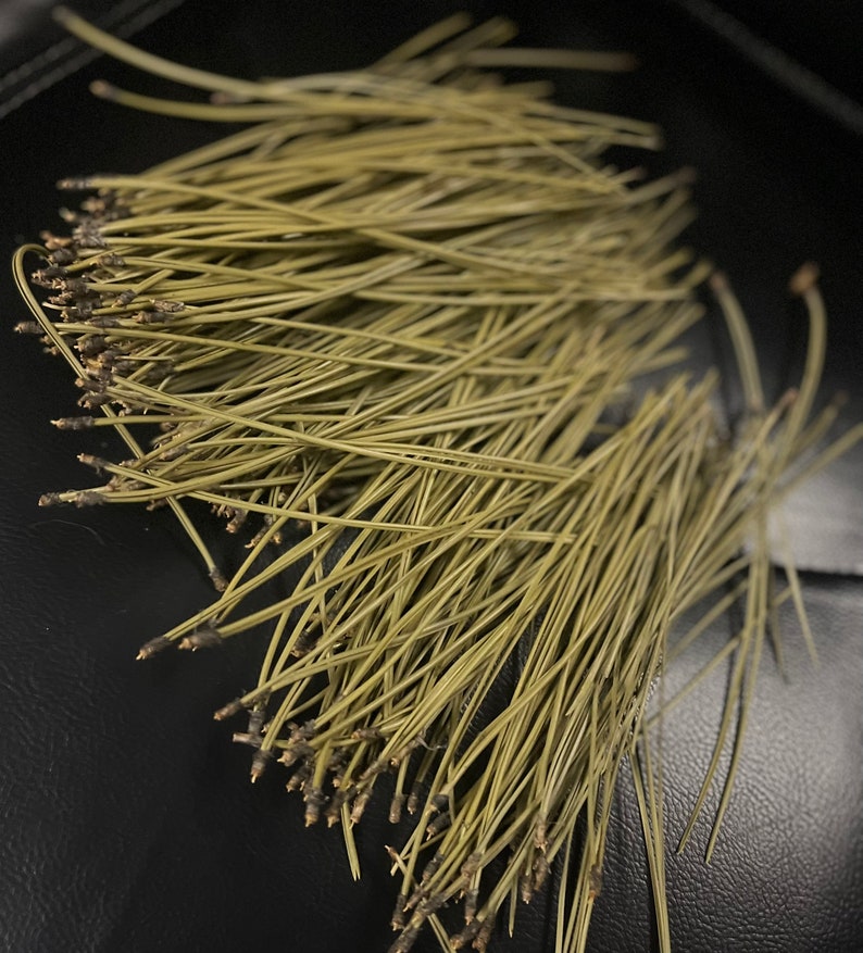 Puede incluir: Un mont&oacute;n de agujas de pino largas, delgadas y de color verde claro sobre una superficie negra.