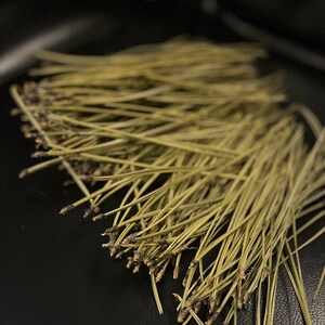 Puede incluir: Un mont&oacute;n de agujas de pino secas sobre una superficie negra. Las agujas son de color marr&oacute;n claro y verde.