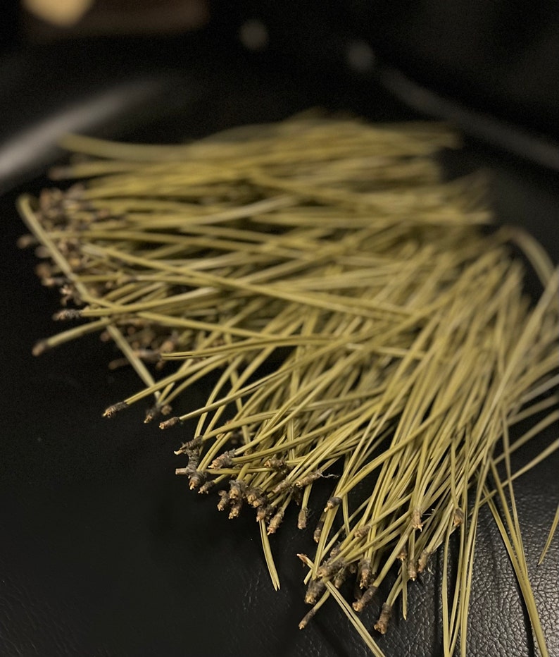 Puede incluir: Un mont&oacute;n de agujas de pino secas sobre una superficie negra. Las agujas son de color marr&oacute;n claro y verde.