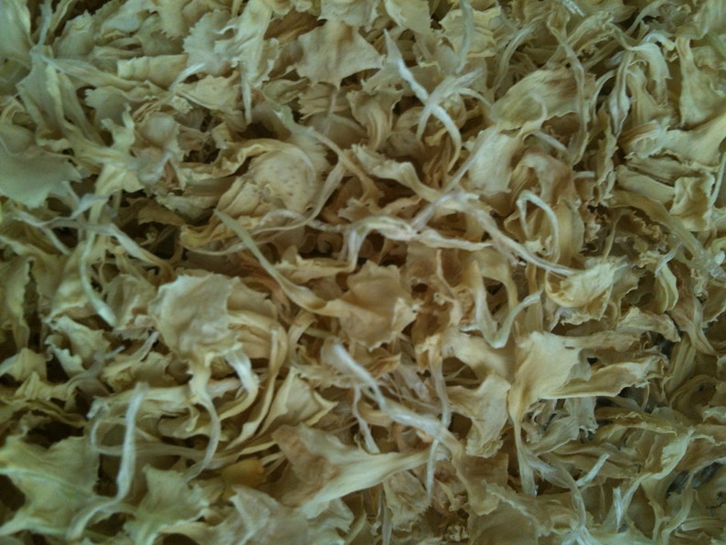 May include: Dried white flower petals, a natural ingredient for crafts, potpourri, or decorative purposes.