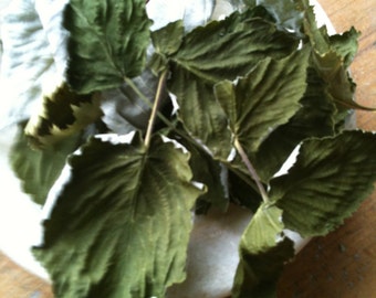 RASPBERRY LEAVES dried organic, for protection, love, good luck and marriage and tea