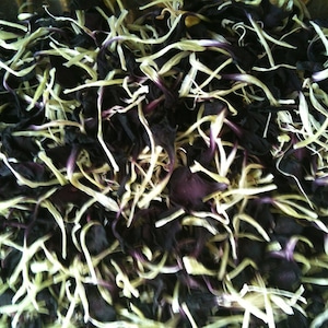 May include: A close-up of dried flower petals, some are a deep purple and others are a pale cream color.
