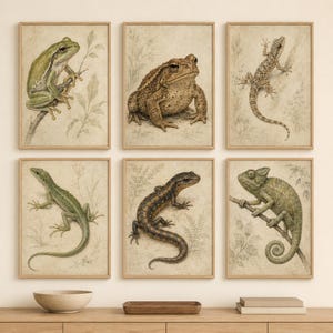 Op de afbeelding: Een set van zes ingelijste wandkunstprints met gedetailleerde illustraties van een boomkikker, een bruine pad, een gevlekte hagedis, een groene hagedis, een donkere salamander en een groene kameleon op een neutrale, vintage-stijl achtergrond.