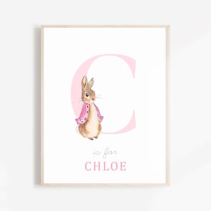 Peter Rabbit Decor, New Baby Girl Gift Personalized, Peter Rabbit Girl, Initial Baby Room Decor, Baby Girl Room Decor, Peter Rabbit Nursery
