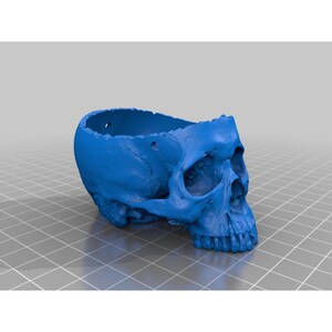 May include: A bright blue, hollowed-out human skull replica featuring a textured surface, an open top, and small circular holes along the upper rim. The object is rendered in a three-dimensional style with visible anatomical details of the eye sockets.