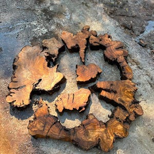 May include: A collection of irregular, natural wood slices featuring prominent grain patterns and rich brown tones. The pieces exhibit raw, textured edges and deep fissures, showcasing the organic structure of the timber with varied shapes.