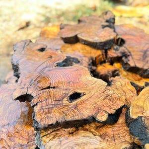 Olive Wood Burl Slab | Live Edge Wood for Epoxy Resin, Tables, Woodworking