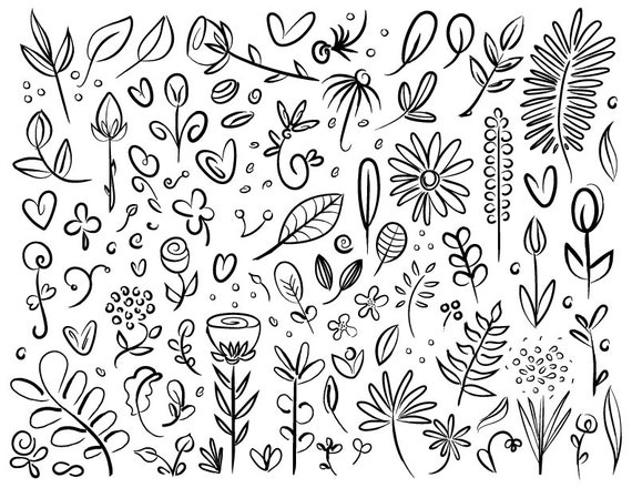 Download Plant Flower Specimen Doodle Clip Art Set Png Svg Vector Etsy