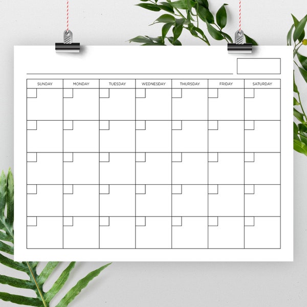 8.5x11 Inch Blank Calendar, 8.5" x 11" Printable Calendar, Calendar Template, Reusable Calendar, Perpetual Calendar, Calendar PDF