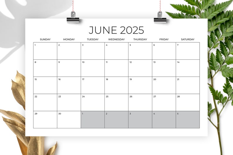 2025 11 x 17 Inch Calendar Template INSTANT DOWNLOAD Thin Sans Serif Type Monthly Printable Minimal Desk or Wall Calender Print Ready image 4