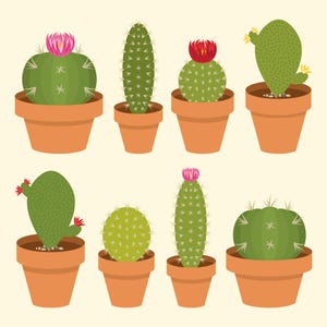VERKOOP ingegoten cactus illustraties, PNG, SVG, Vector, succulent, kamerplant, cactussen, kamerplant, cactus clipart, groene cactus, bloeiende cactus