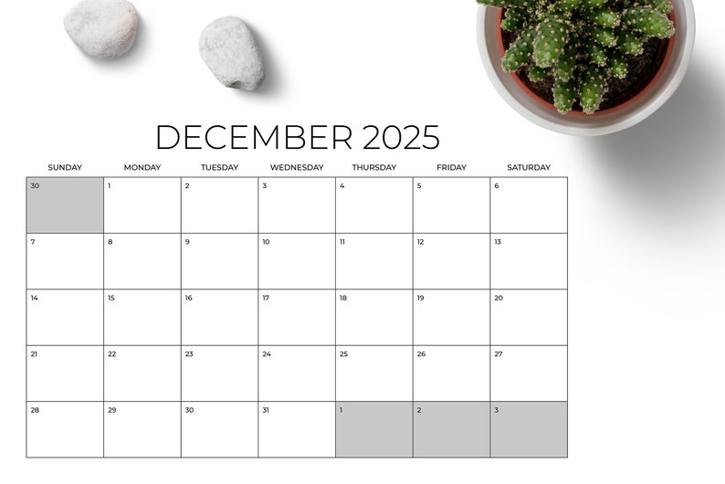 2025 11 x 17 Inch Calendar Template INSTANT DOWNLOAD Thin Sans Serif Type Monthly Printable Minimal Desk or Wall Calender Print Ready image 5