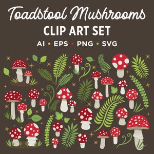 Puede incluir: Colecci&oacute;n de ilustraciones de setas rojas y blancas, hojas de helecho verdes y otras hojas sobre un fondo marr&oacute;n. El texto "Toadstool Mushrooms CLIP ART SET" est&aacute; en la parte superior, con indicadores de tipo de archivo debajo.