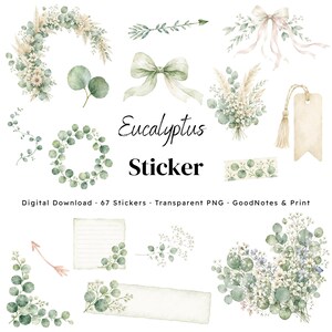 Könnte beinhalten: Eine Sammlung von Aquarell-Eukalyptus-Aufklebern mit Kränzen, Schleifen, Blumensträußen, Pfeilen, Anhängern und linierten Notizzetteln. Der Text lautet Eucalyptus Sticker, Digital Download, 67 Stickers, Transparent PNG, GoodNotes & Print.