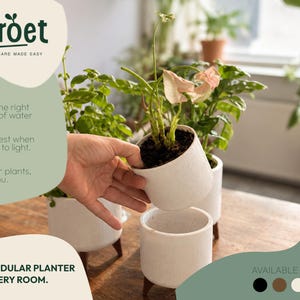 Op de afbeelding: Een set witte cilindrische plantenbakken met kleine bruine houten pootjes. De plantenbakken hebben een textuur en worden getoond met groene planten. Tekst op de afbeelding bevat Sproet, Plant Care Made Easy, Water, Light, Grow en The Modular Planter For Every Room.